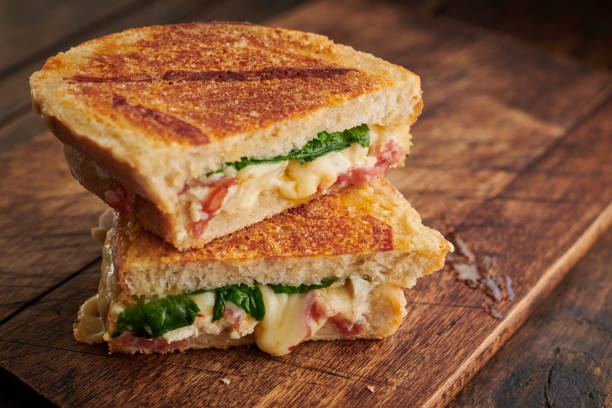 Best Grilled Sandwich Recipes You Can Make at Home