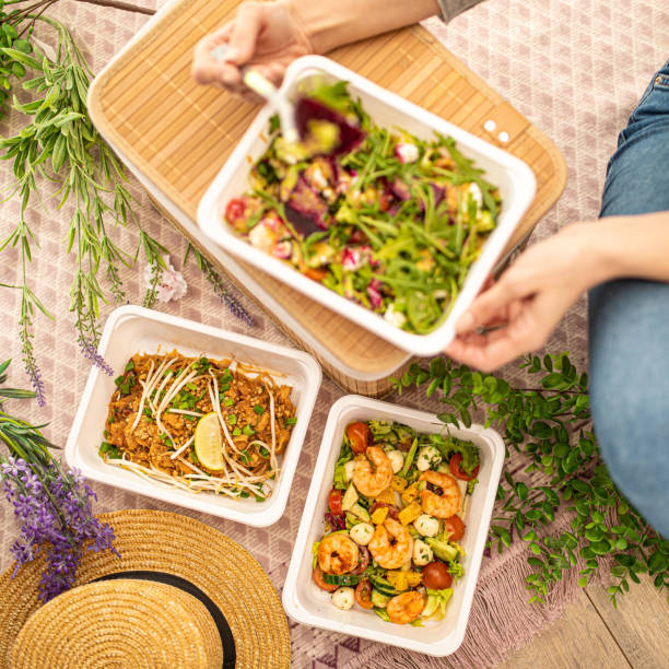 Quick Office Lunch Box Recipes to Keep You Energized All Day