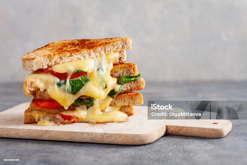 Best Grilled Sandwich Recipes You Can Make at Home