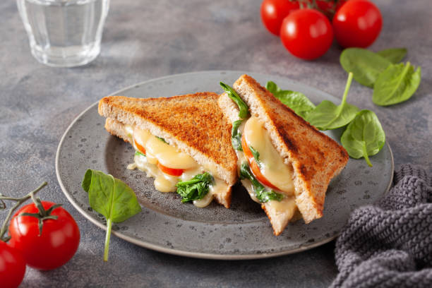 Best Grilled Sandwich Recipes You Can Make at Home