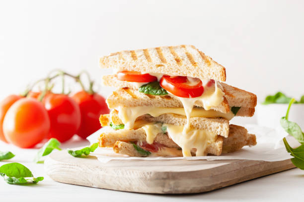 Best Grilled Sandwich Recipes You Can Make at Home